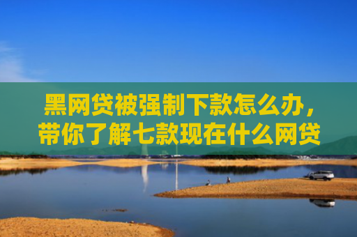 黑网贷被强制下款怎么办，带你了解七款现在什么网贷黑户能下款