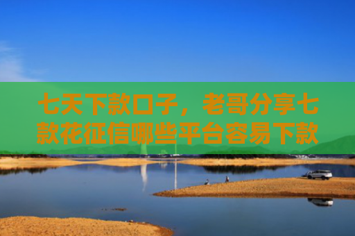 七天下款口子，老哥分享七款花征信哪些平台容易下款
