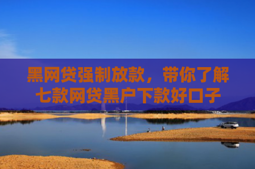 黑网贷强制放款，带你了解七款网贷黑户下款好口子
