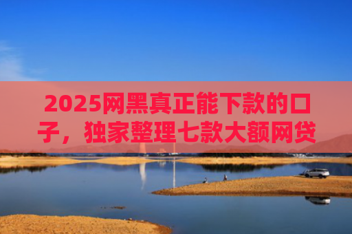2025网黑真正能下款的口子，独家整理七款大额网贷哪些口子好下款