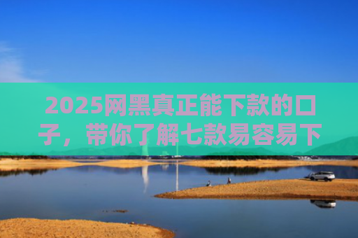 2025网黑真正能下款的口子，带你了解七款易容易下款的网贷口子