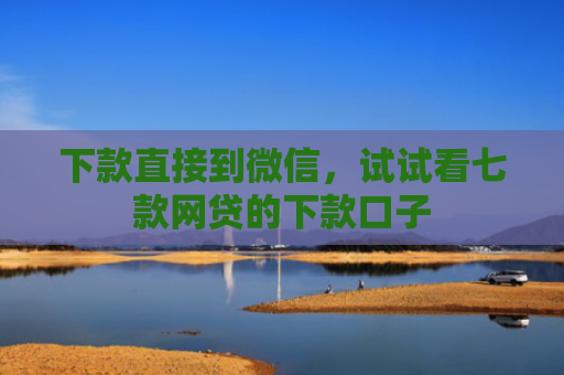 下款直接到微信，试试看七款网贷的下款口子