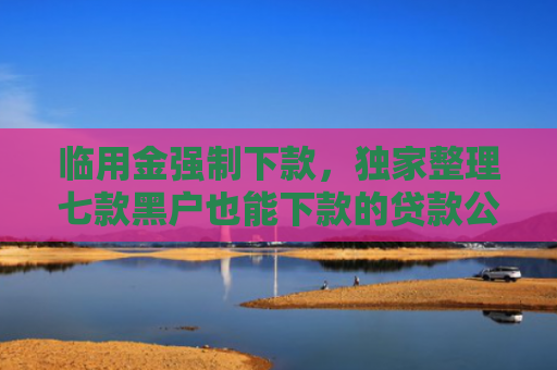 临用金强制下款，独家整理七款黑户也能下款的贷款公司