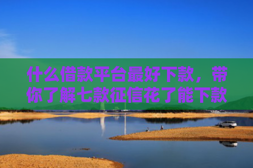 什么借款平台最好下款，带你了解七款征信花了能下款的贷款