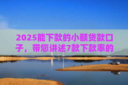 2025能下款的小额贷款口子，带您讲述7款下款率的网贷口子