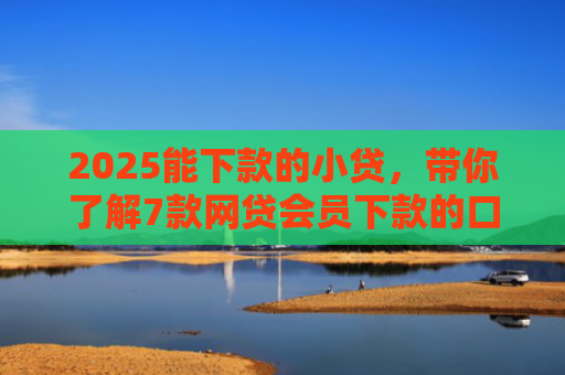 2025能下款的小贷，带你了解7款网贷会员下款的口子