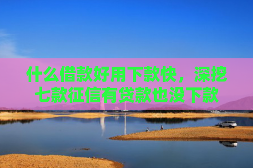什么借款好用下款快，深挖七款征信有贷款也没下款