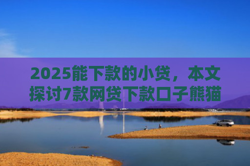 2025能下款的小贷，本文探讨7款网贷下款口子熊猫应急