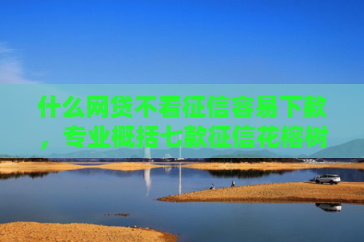 什么网贷不看征信容易下款，专业概括七款征信花榕树贷款能下款吗