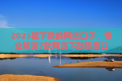 2025能下款的网贷口子，专业解读7款网贷下款额度口子
