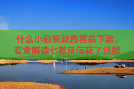 什么小额贷款最容易下款，专业解读七款征信花了贷款好下款的app