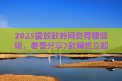 2025能放款的网贷有哪些呢，老哥分享7款网贷立即下款的口子