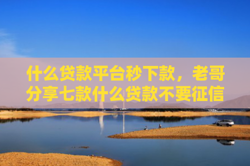 什么贷款平台秒下款，老哥分享七款什么贷款不要征信下款快