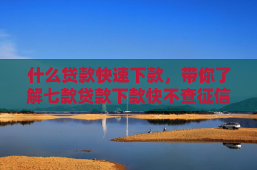 什么贷款快速下款，带你了解七款贷款下款快不查征信