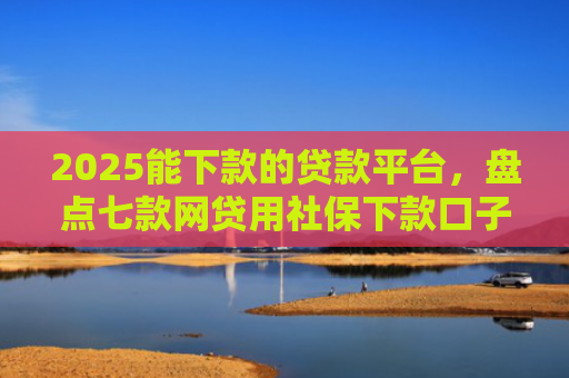 2025能下款的贷款平台，盘点七款网贷用社保下款口子
