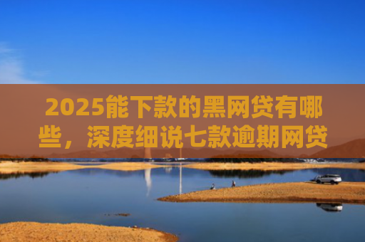 2025能下款的黑网贷有哪些，深度细说七款逾期网贷下款贷款口子