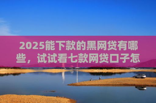 2025能下款的黑网贷有哪些，试试看七款网贷口子怎么好下款