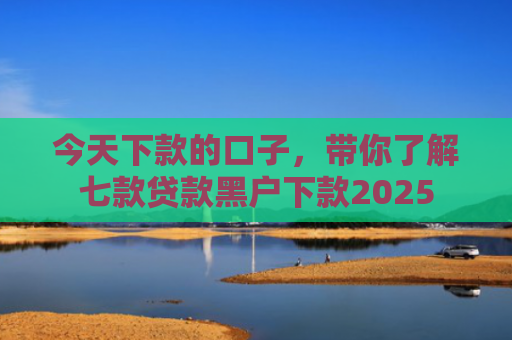 今天下款的口子，带你了解七款贷款黑户下款2025