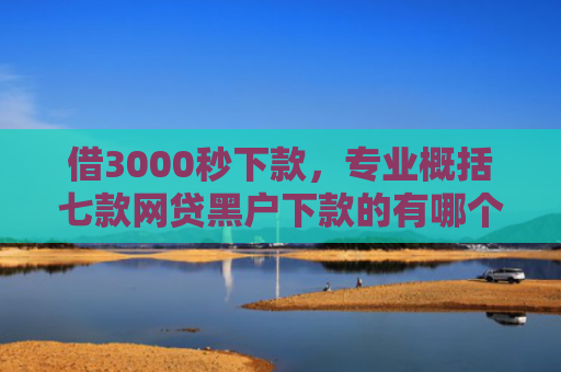 借3000秒下款，专业概括七款网贷黑户下款的有哪个