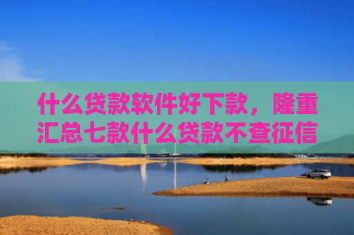 什么贷款软件好下款，隆重汇总七款什么贷款不查征信好下款