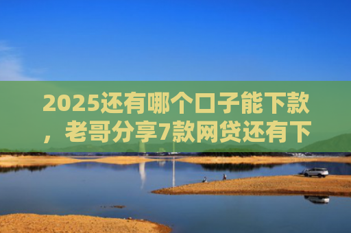 2025还有哪个口子能下款，老哥分享7款网贷还有下款口子吗