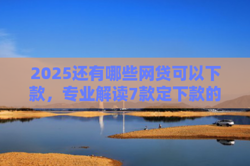 2025还有哪些网贷可以下款，专业解读7款定下款的网贷口子