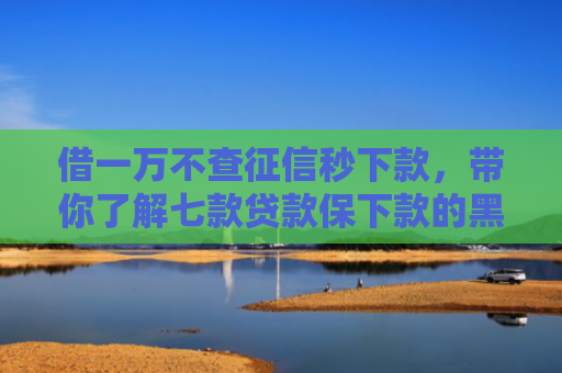 借一万不查征信秒下款，带你了解七款贷款保下款的黑户贷款