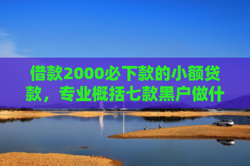 借款2000必下款的小额贷款，专业概括七款黑户做什么网贷能下款啊