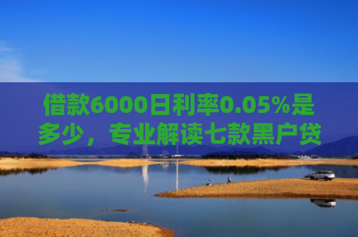 借款6000日利率0.05%是多少，专业解读七款黑户贷款的网贷能下款吗