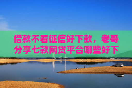 借款不看征信好下款，老哥分享七款网贷平台哪些好下款黑户可以借