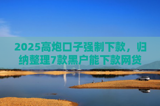 2025高炮口子强制下款，归纳整理7款黑户能下款网贷口子
