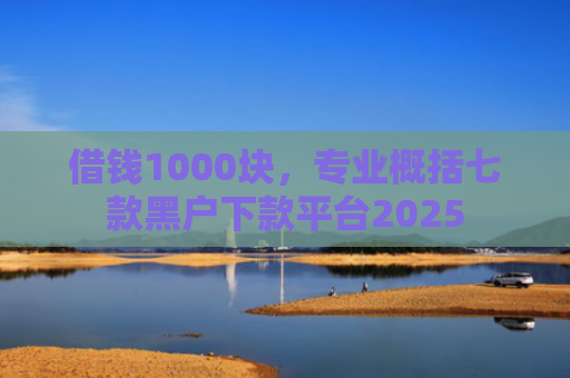 借钱1000块，专业概括七款黑户下款平台2025
