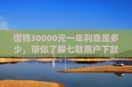 借钱30000元一年利息是多少，带你了解七款黑户下款平台App