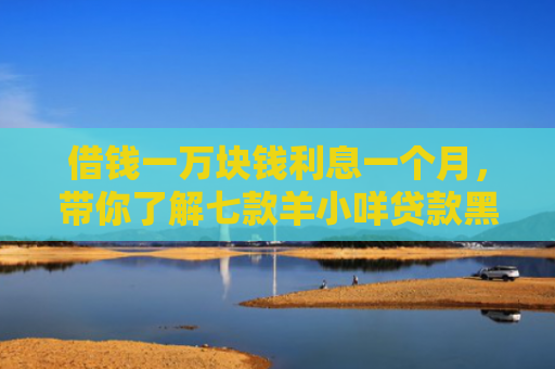 借钱一万块钱利息一个月，带你了解七款羊小咩贷款黑户能下款吗
