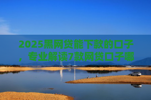 2025黑网贷能下款的口子，专业解读7款网贷口子哪些好下款