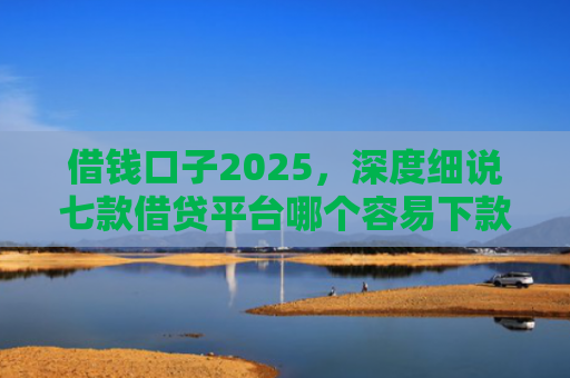 借钱口子2025，深度细说七款借贷平台哪个容易下款黑户的
