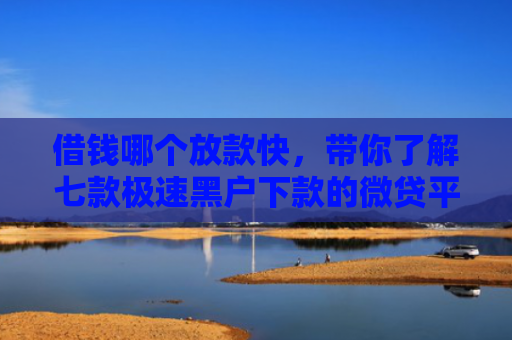 借钱哪个放款快，带你了解七款极速黑户下款的微贷平台