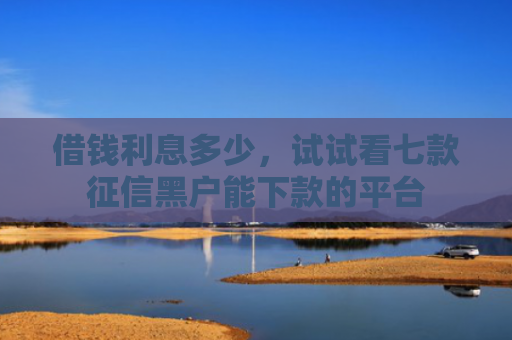 借钱利息多少，试试看七款征信黑户能下款的平台