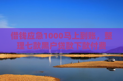 借钱应急1000马上到账，整理七款黑户贷款下款付费