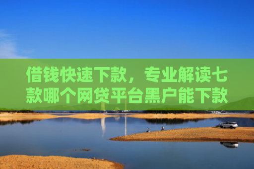 借钱快速下款，专业解读七款哪个网贷平台黑户能下款