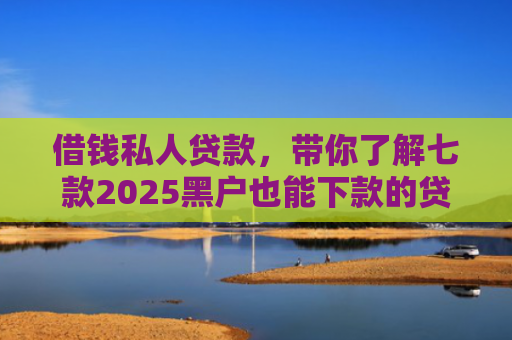 借钱私人贷款，带你了解七款2025黑户也能下款的贷款