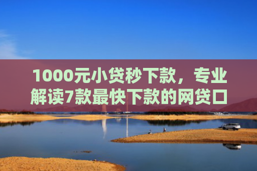 1000元小贷秒下款，专业解读7款最快下款的网贷口子