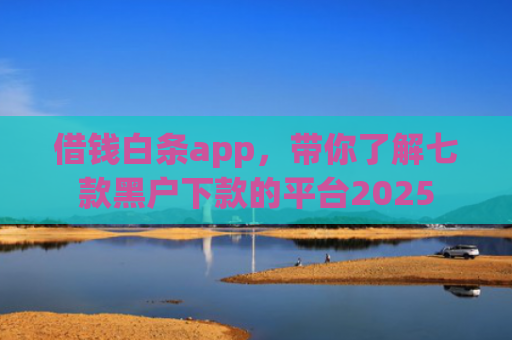 借钱白条app，带你了解七款黑户下款的平台2025