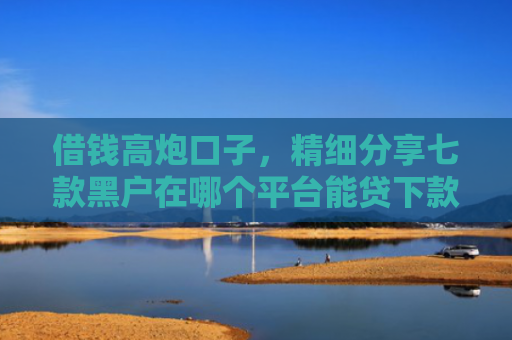 借钱高炮口子，精细分享七款黑户在哪个平台能贷下款