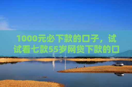 1000元必下款的口子，试试看七款55岁网贷下款的口子