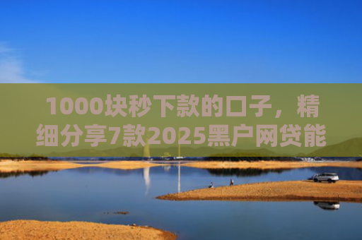 1000块秒下款的口子，精细分享7款2025黑户网贷能下款的口子