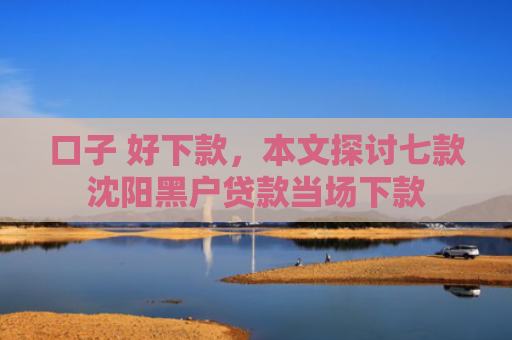 口子 好下款，本文探讨七款沈阳黑户贷款当场下款