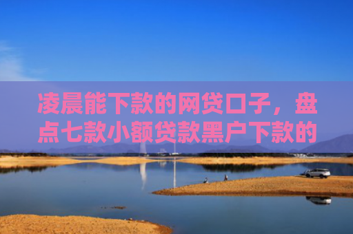 凌晨能下款的网贷口子，盘点七款小额贷款黑户下款的