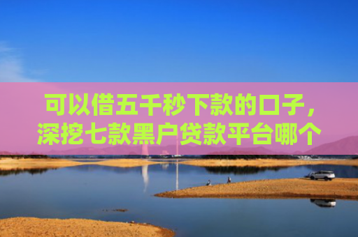 可以借五千秒下款的口子，深挖七款黑户贷款平台哪个好下款