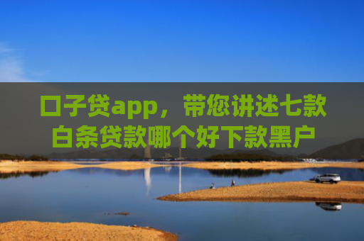 口子贷app，带您讲述七款白条贷款哪个好下款黑户